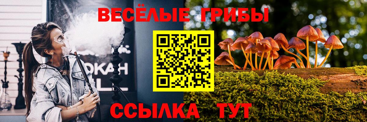 Псилоцибиновые грибы MAGIC MUSHROOMS Белово